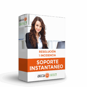 Soporte instantáneo | Resolución de 1 incidencia